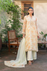 3 Piece Suit Chiffon Suit (FR1062)